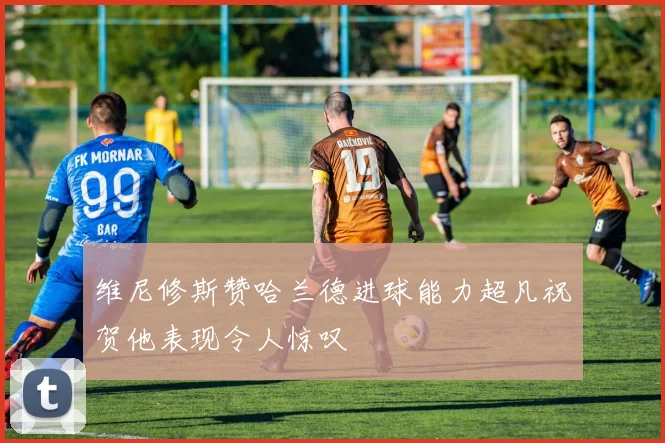 维尼修斯赞哈兰德进球能力超凡祝贺他表现令人惊叹